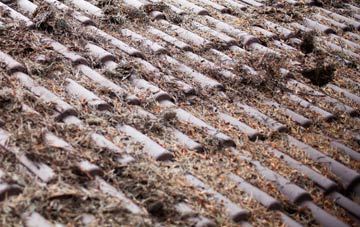 Shirenewton roof cleaning companies